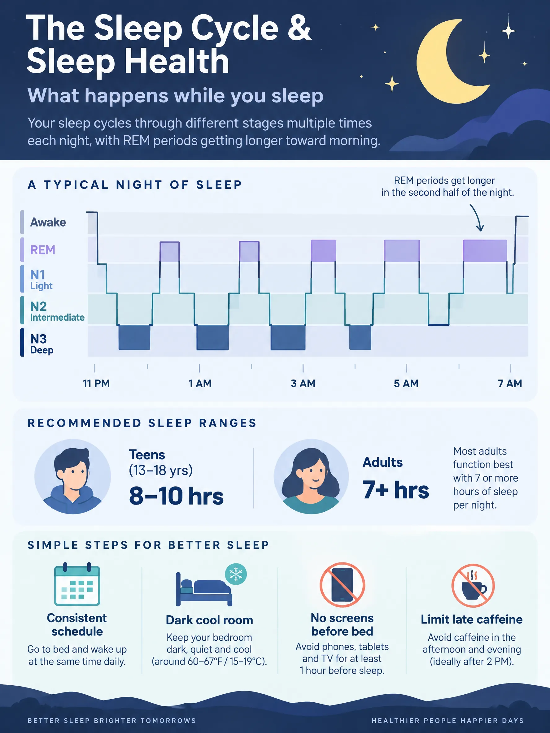Sleep Cycle Stages & Sleep Health: What Happens at Night infographic — Sleep cycle stages explained: N1, N2, deep N3, and REM, plus recommended sleep hours by age and a checklist for better s